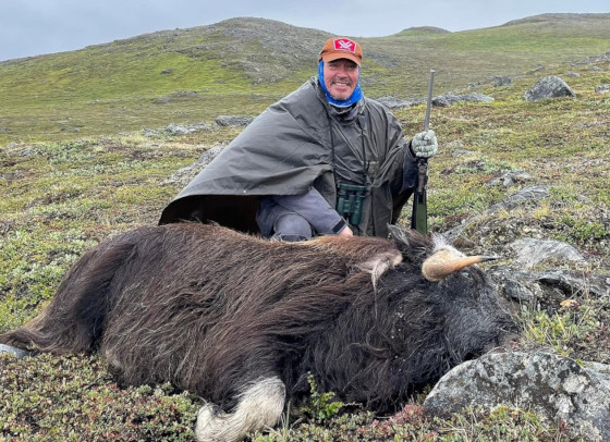 Alu Petrussen har nedlagt en moskusokse